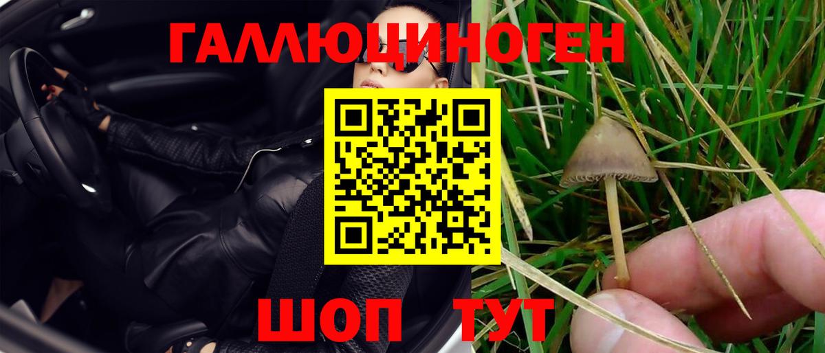 Псилоцибиновые грибы мухоморы  Вход с VPN  Елец 